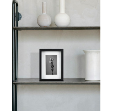 Marco con Profundidad 30x40cm - 30x40cm Negro Mod 3503 Madera con paspartu