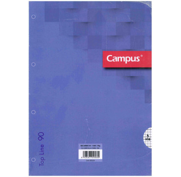 Recambio de Cuadricula de 4MM Tamaño A4 de 90GRS. con 100 Hojas y Cuatro Agujeros Imi Lamela Campus