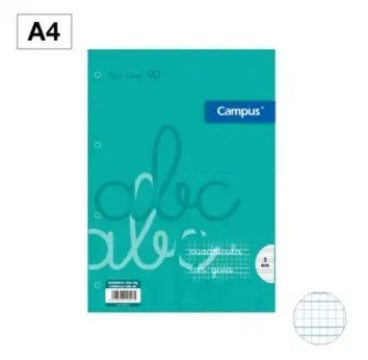 Recambio A4 Cuadro 3 Mm Pautado 100 Hojas 90g