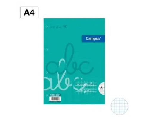 Recambio A4 Cuadro 3 Mm Pautado 100 Hojas 90g