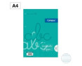 Recambio A4 Cuadro 3 Mm Pautado 100 Hojas 90g
