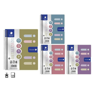 Cuaderno golden a5 tapa pp color metalico con separadores