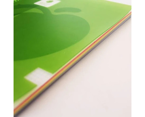 Golden Cuaderno Tapa Plastico. A4 100 H. 90GR.
