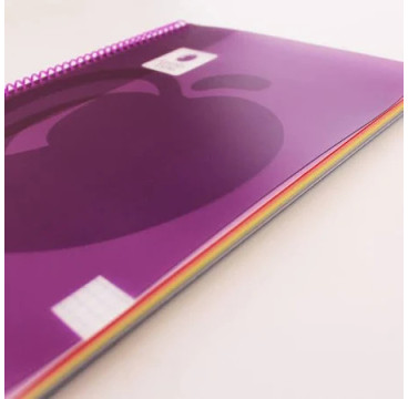 Golden Cuaderno Tapa Plastico. A4 100 H. 90GR.