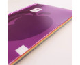 Golden Cuaderno Tapa Plastico. A4 100 H. 90GR.