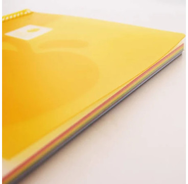 Golden Cuaderno Tapa Plastico. A4 100 H. 90GR.