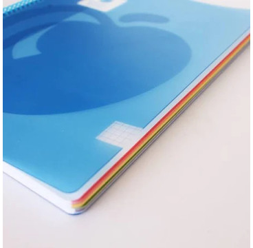 Golden Cuaderno Tapa Plastico. A4 100 H. 90GR.
