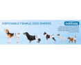 Nobleza 12x Pañales( L ) para Perros Desechables Hembra Cachorro Entrenamiento