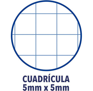 Cuaderno de plástico, cuadricula 5 x 5, 120 hojas A4