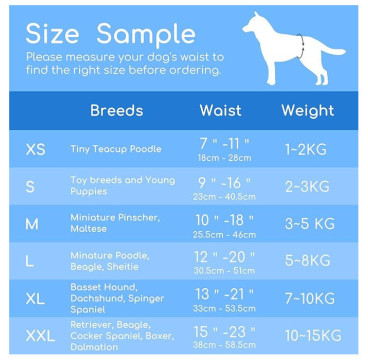 Nobleza 12x Pañales para Perros Desechables Hembra Cachorro Entrenamiento Paquete de 12,(XL)