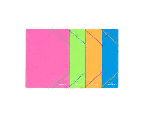 CARPETA GOMAS Y SOLAPAS Plastico A4 NEON ( Pack 1 uds)