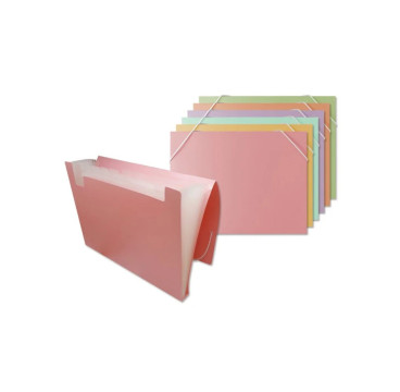 Carpeta Bismark clasificadora a4 12 departamentos