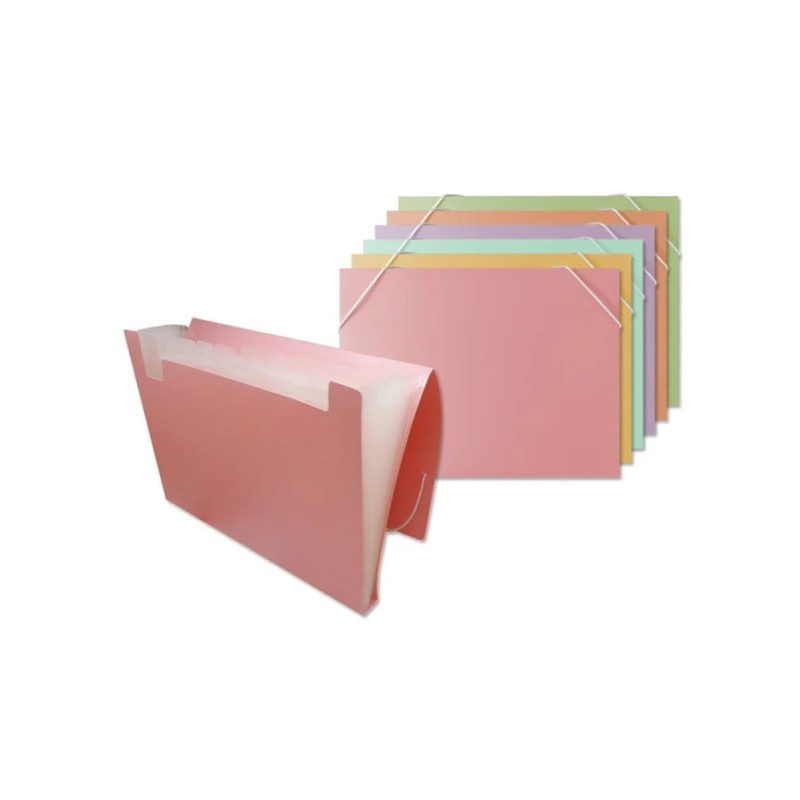 Carpeta Bismark clasificadora a4 12 departamentos