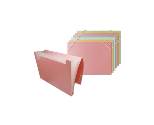 Carpeta Bismark clasificadora a4 12 departamentos