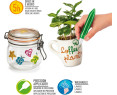 Carioca- Pegamento, Multicolor (042113-WM)