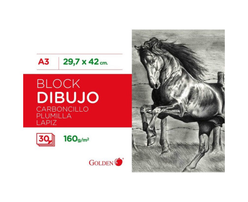 GOLDEN Cuaderno dibujo en espiral 30 hojas A3 liso