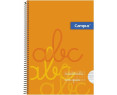 Campus - Cuadernos A4 Cuadrícula Pauta 4x4mm, Tapa Plastico, 80 hojas, (Pack de 6 blocs)