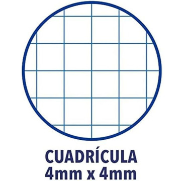 Oxford, Cuadernos A4 (Folio) Cuadrícula 4x4, Tapa Básica 80 Hojas Cuadrícula 4 mm Pack 4+1