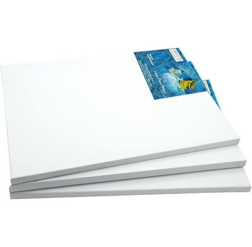 PACK 5 Lienzos Para Pintar 30x40 CM Bastidor Madera 16 MM Algodón Blanco Preimprimado Profesional Para Acrílico Óleo