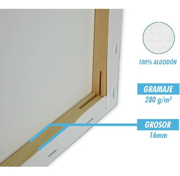 Lienzos Para Pintar 20x30 CM Pack 5 Unidades Bastidor Madera 16 MM Algodón