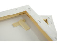 Pack 2 Lienzos Para Pintar 70x100 CM Bastidor Madera 16 MM Algodón Blanco