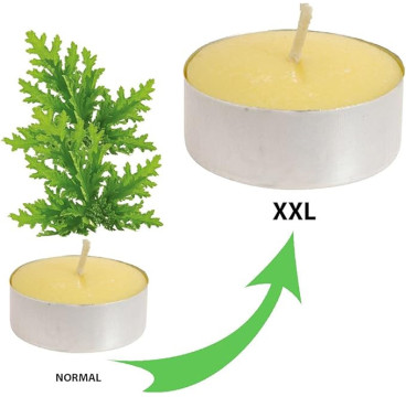 Velas de Té Citronela Grande, Tealight Citronela Perfumada Antimosquitos Velas Citronela - Pack 4 Velas, 10 Hor