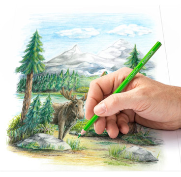 STAEDTLER 146C M12 caja Metálica Con 12 Lápices De Colores Surtidos Y Mina Suave