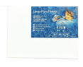 Lienzos Para Pintar 30x40 CM Pack 2 Unidades Bastidor Madera 24 MM