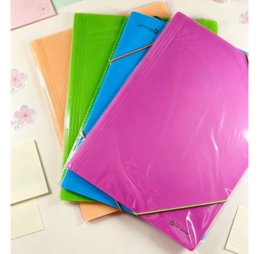 CARPETA GOMAS Y SOLAPAS Plastico A4 NEON ( Pack 1 uds)