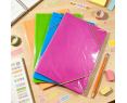 CARPETA GOMAS Y SOLAPAS Plastico A4 NEON ( Pack 1 uds)