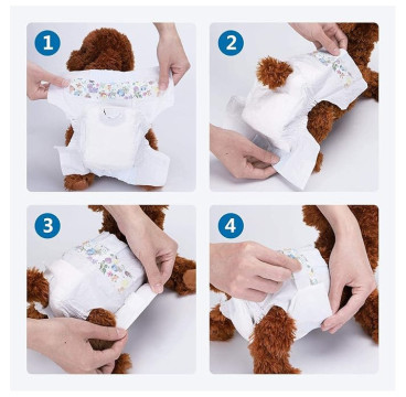 Nobleza 12x Pañales (XS)para Perros Desechables Hembra Cachorro Entrenamiento Pañales