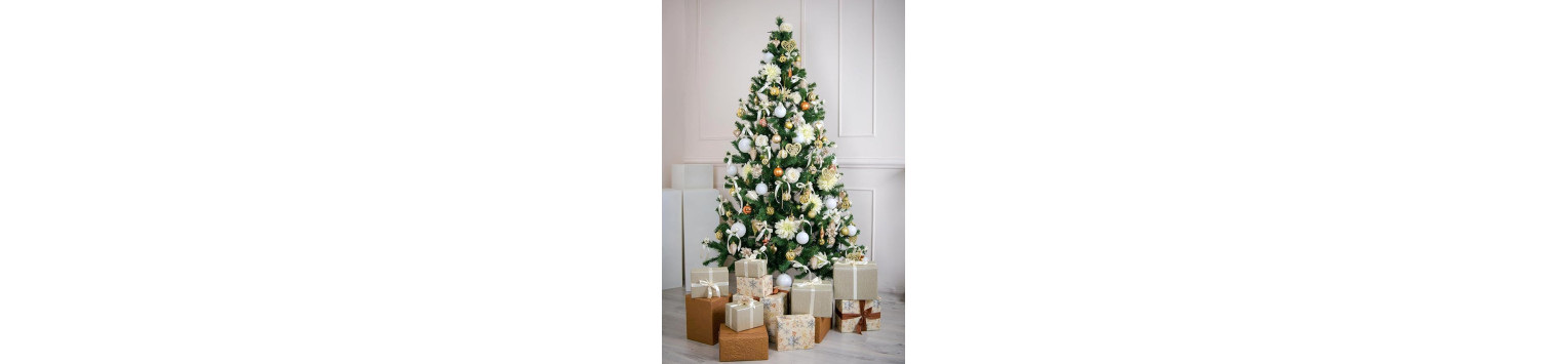 NAVIDAD